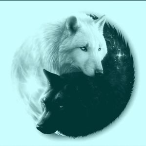 Meet your Posher, Tim